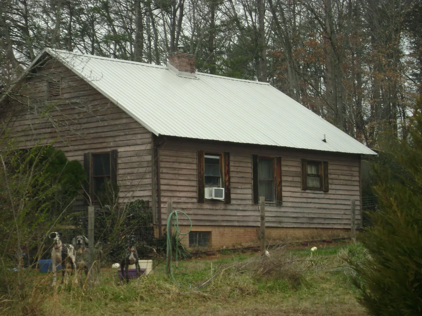 White metal roof on an old wood sided farmhouse, from a Asphalt Shingle Roof Repair job in Grant